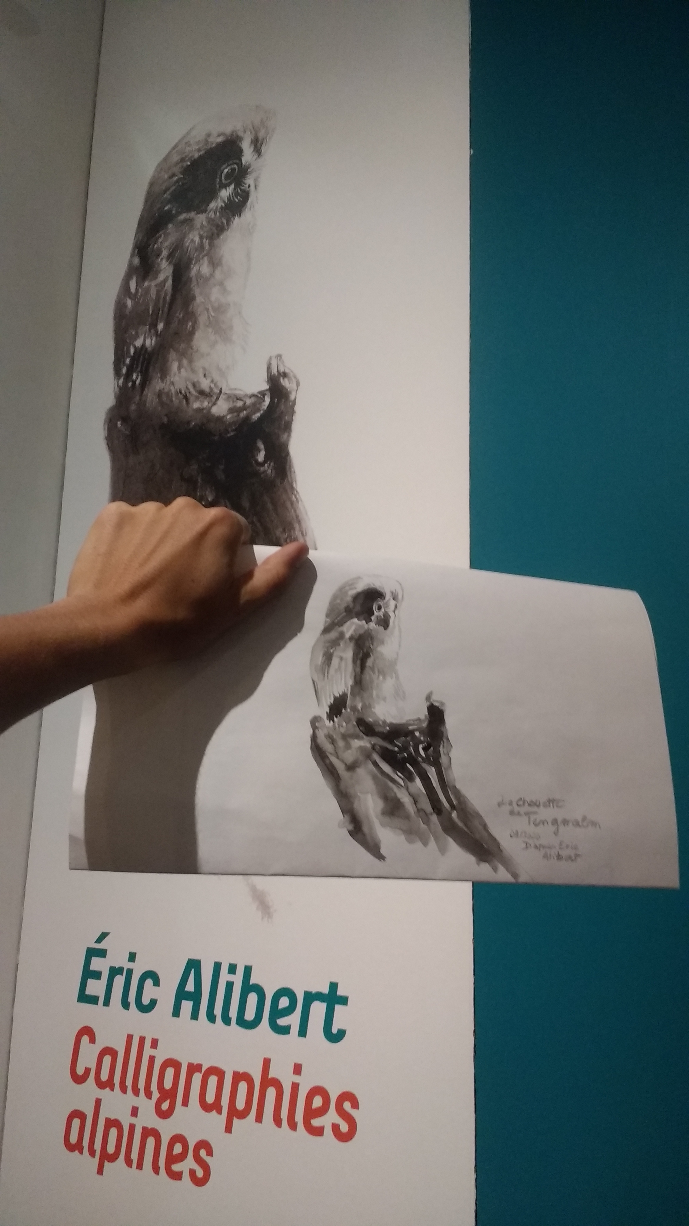 La chouette devant l'affiche