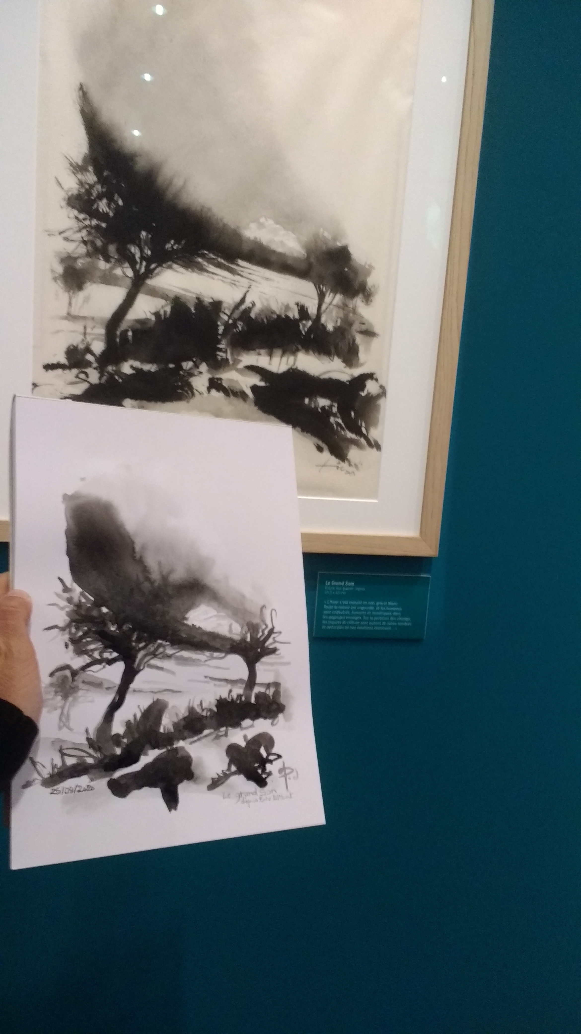 arbre dans une vallée