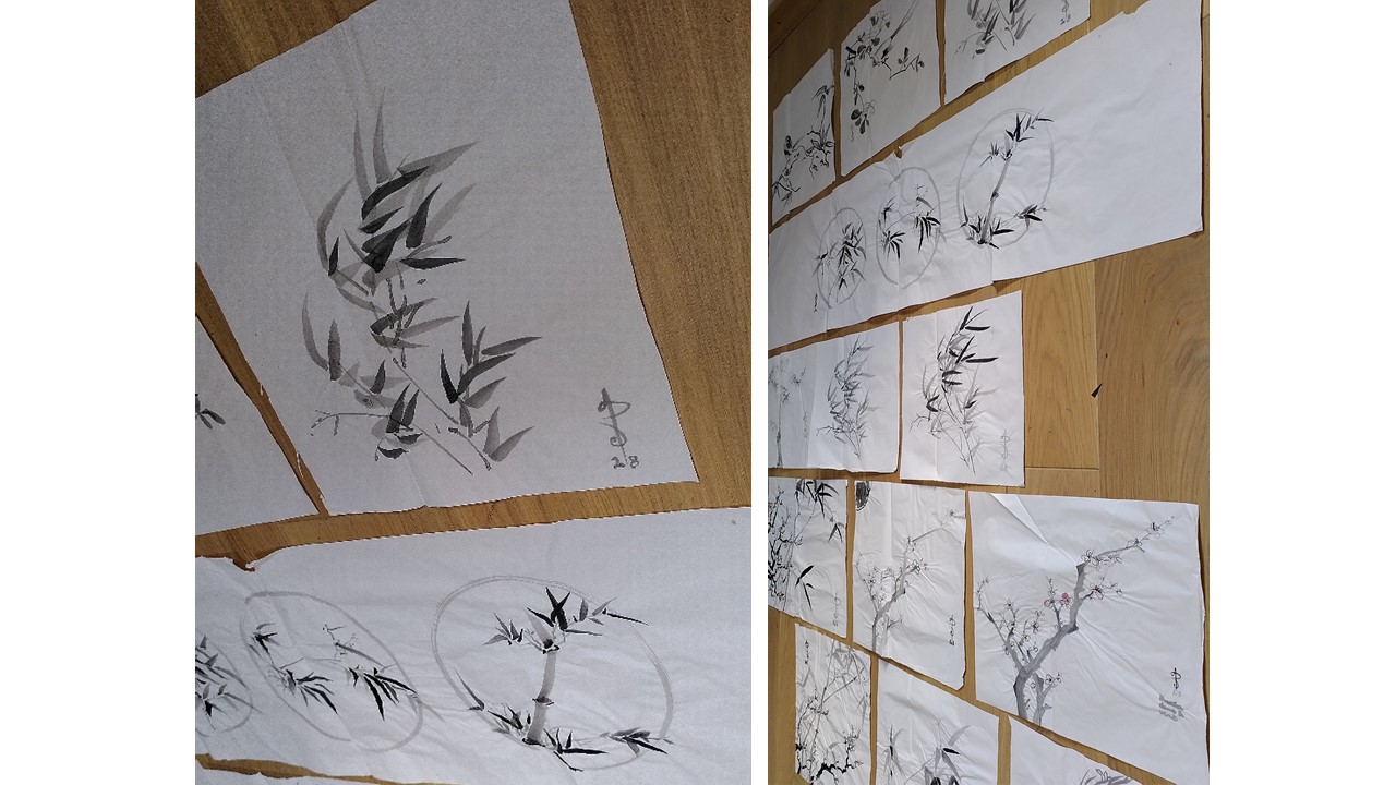 zoom sur banbou dans le vent et photos de la vingtaine de dessin de bambous